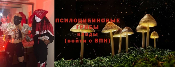 твердый Алексеевка