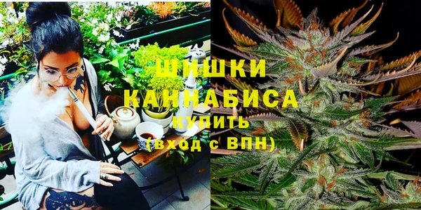 твердый Алексеевка