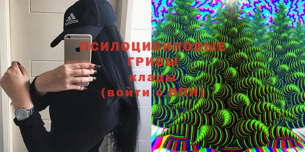 твердый Алексеевка