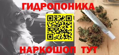 спиды Бийск