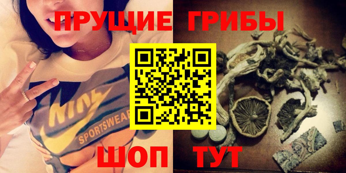 Ачинск  Галлюциногенные грибы прущие грибы  Вход с VPN 
